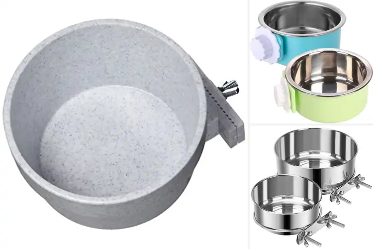Detailed view of Best Spill Proof Small Animal Feeders