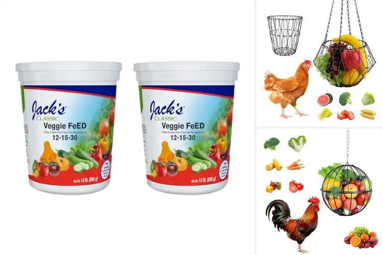 Detailed view of Best Veggie Feeders: Top 10 Picks for Happy, Healthy Animals