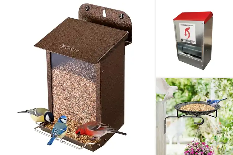 Detailed view of Best Wall-Mounted Feeders