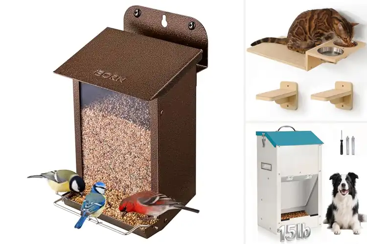 Detailed view of Best Wall Mounted Food Feeders: Top 10 Space-Saving Picks