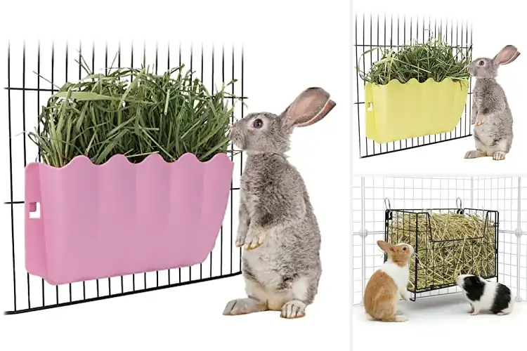 Detailed view of Best Wall Mounted Guinea Pig Feeders
