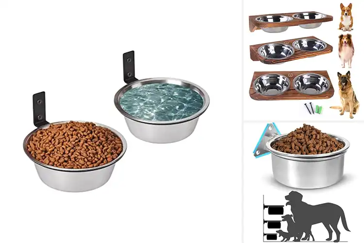 Detailed view of Best Wall Mounted Pet Feeders