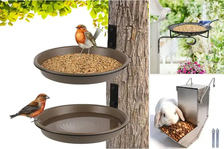 Detailed view of Best Wall Mounted Small Animal Feeders