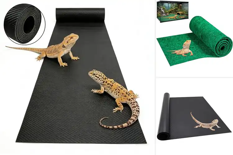 Detailed view of Best Washable Reptile Substrates