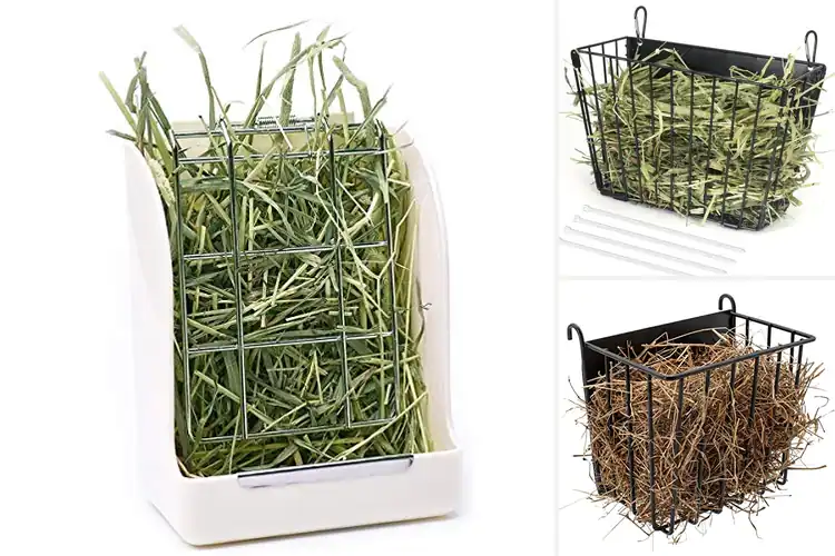 Detailed view of Best Waste Reducing Guinea Pig Feeders