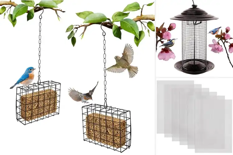 Detailed view of Best Wire Mesh Cages Feeders